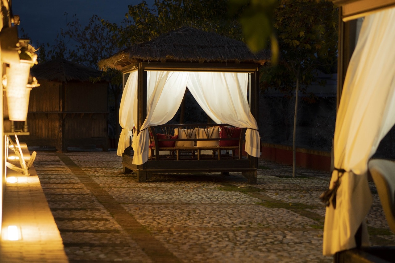 ganaderia-toro-bravo-lujo-exclusividad (16)-min